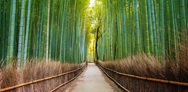 Not Making Progress? Why You Shouldn’t Give Up Just Yet