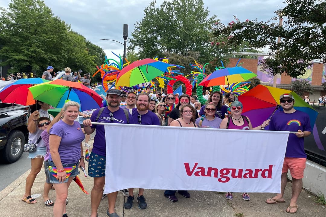 Vanguard company profile