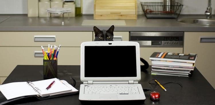 Annie Parody Nails Struggle-Filled Life as a Freelancer