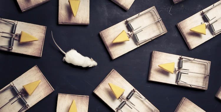 5 Reasons You Feel Trapped in Your Job (and How to Overcome Them)