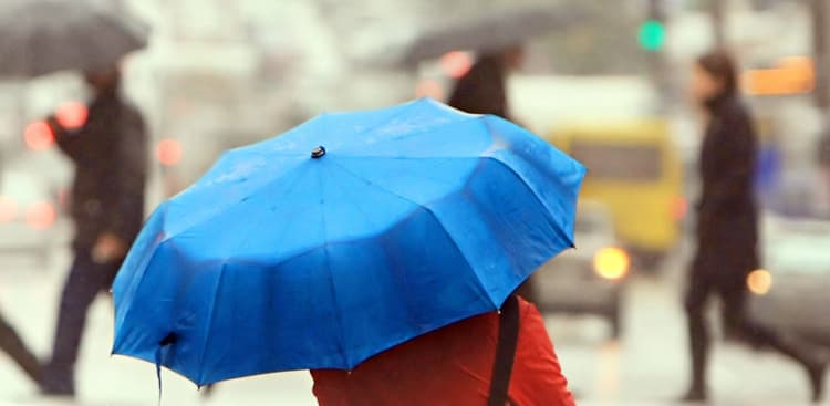 Why You Shouldn’t Hate Those Rainy Days So Much