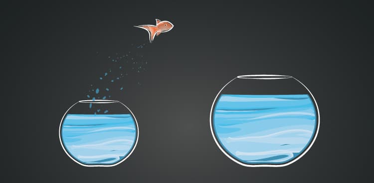 How to Find the Courage to Take That Professional Risk