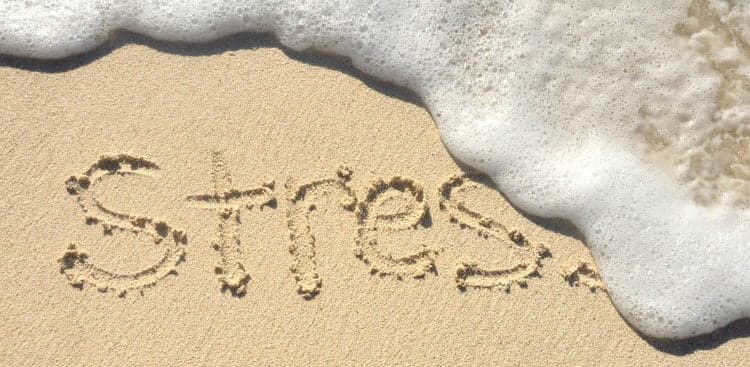 5 Unconventional (but Totally Effective) Ways to Beat Stress