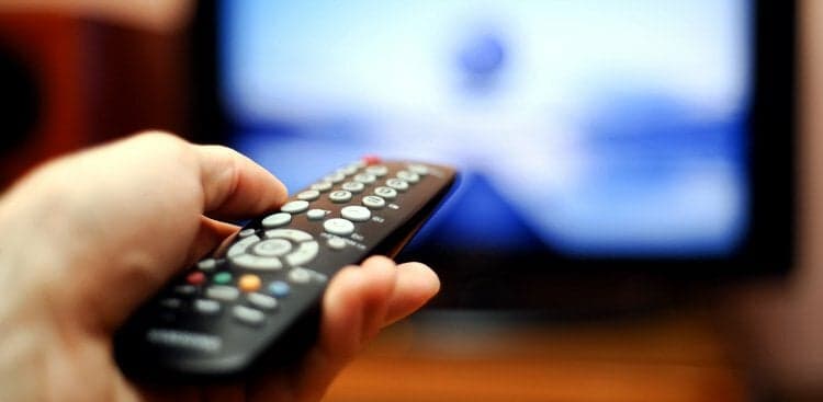 How to Use Your Netflix Time to Boost Your Green Career