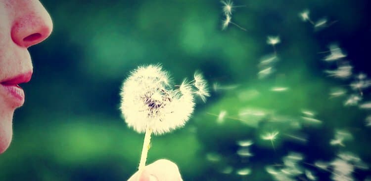 4 Changes That Will Make Your Resume a Breath of Fresh Air