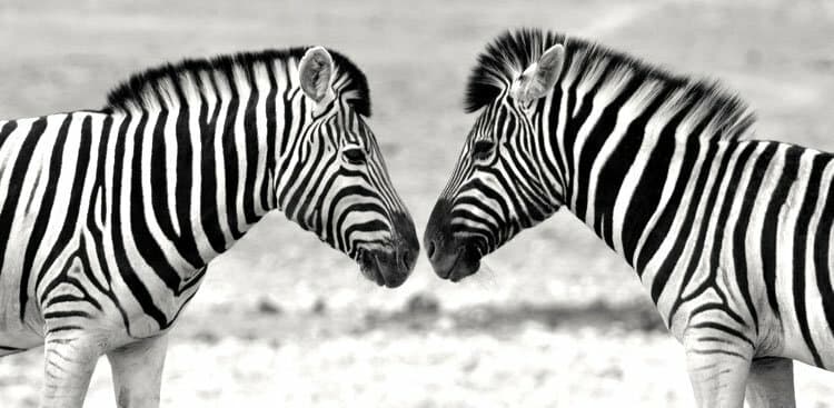 The One Simple Rule for Becoming a More Effective Manager