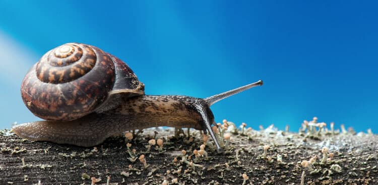 How to Finish Whatever You’re Procrastinating On