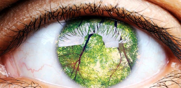 4 Lessons From People Who Retired Early