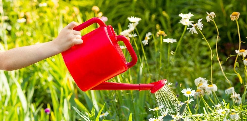 9 Easy Ways to Grow Your Network Right This Second