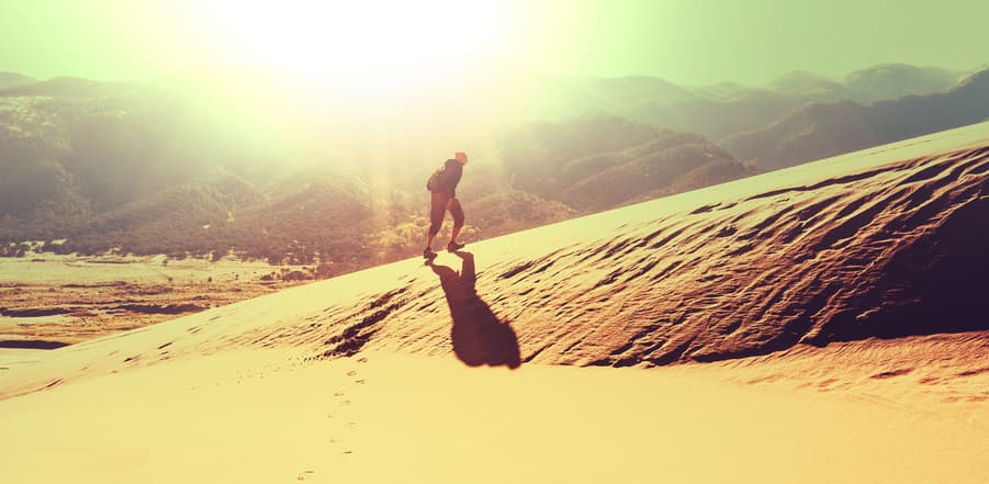 How to Survive an Endless Job Hunt Without Losing It