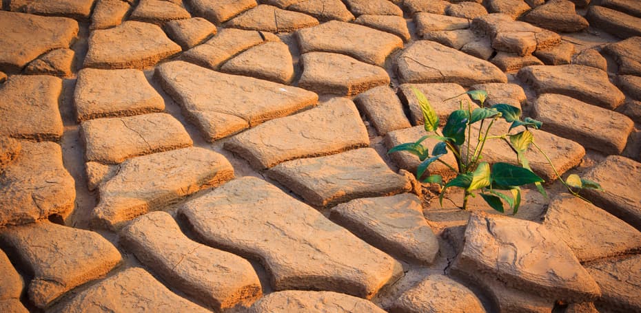 How to Convince Your Company to Make a Change Without Freaking Anyone Out