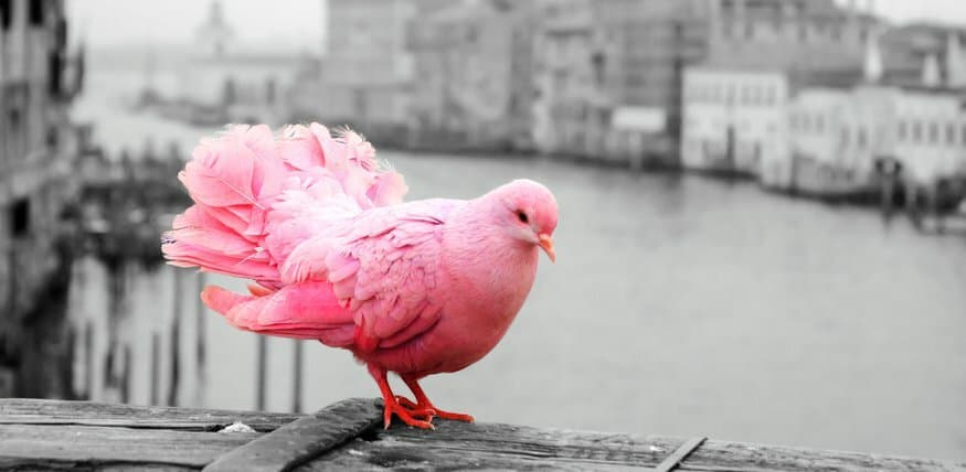 5 Ways to Stand Out When You're Competing With Really Qualified Candidates