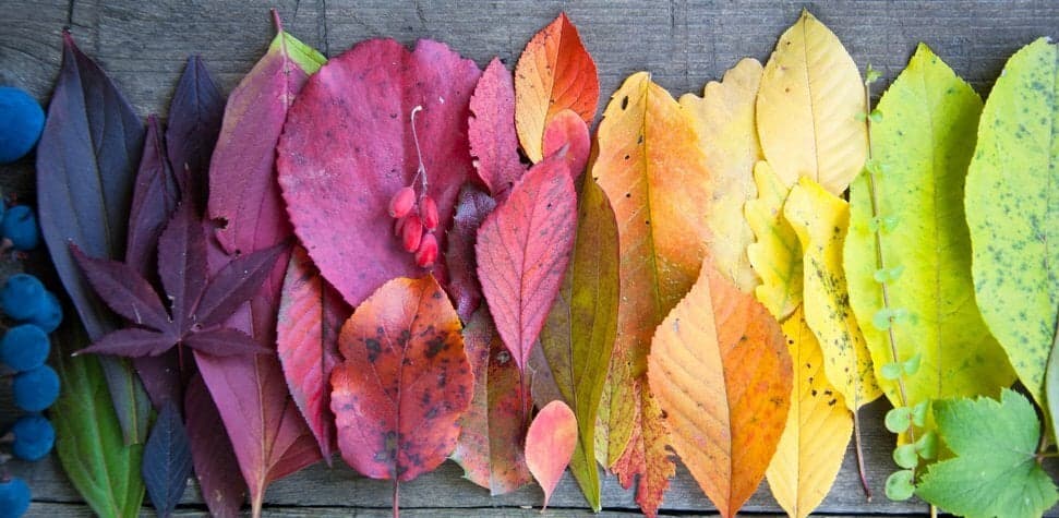 5 Ways to Make Sure Your Office Really Is Diverse, Inclusive, and Welcoming