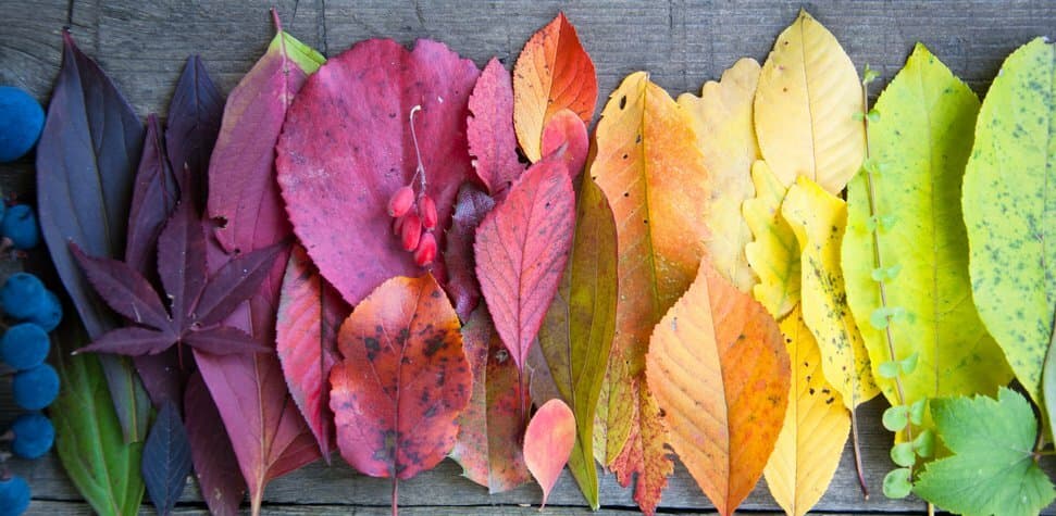 5 Ways to Make Sure Your Office Really Is Diverse, Inclusive, and Welcoming