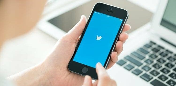 The 75 Best Twitter Accounts to Follow for Your Career