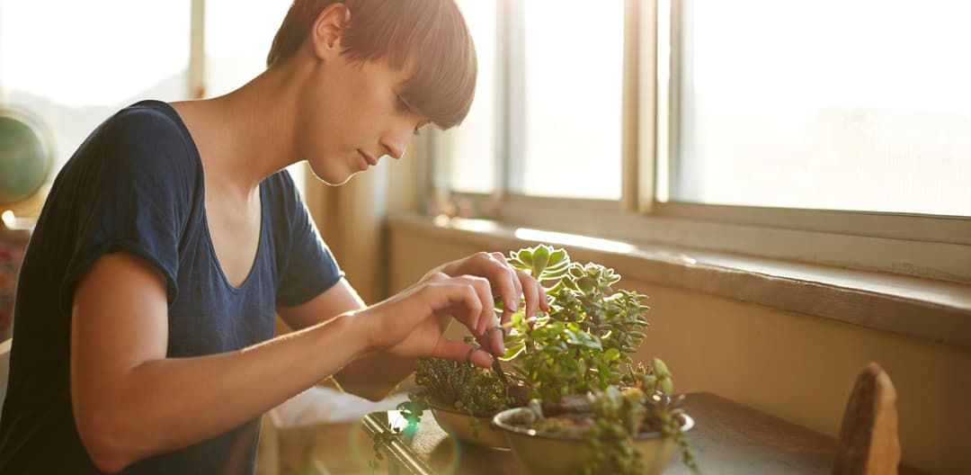 5 Calming Side Projects That'll You'll Actually Want to Start After a Long Day at Work