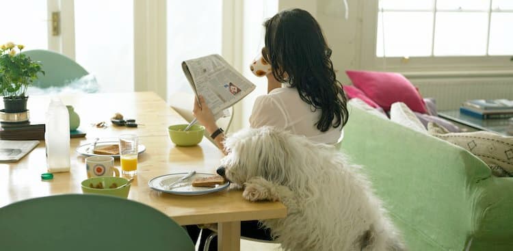 person eating breakfast