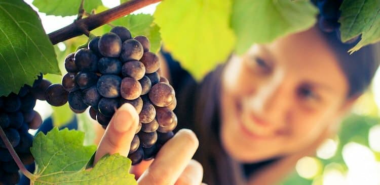 What it's Like to be a Winemaker: A Q&A With Helen Keplinger