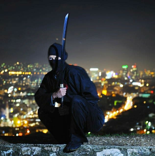 Cover Letter From Ninja Wins the Day