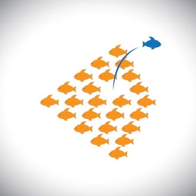 Startup Founders Spill: What I Look for in New Hires